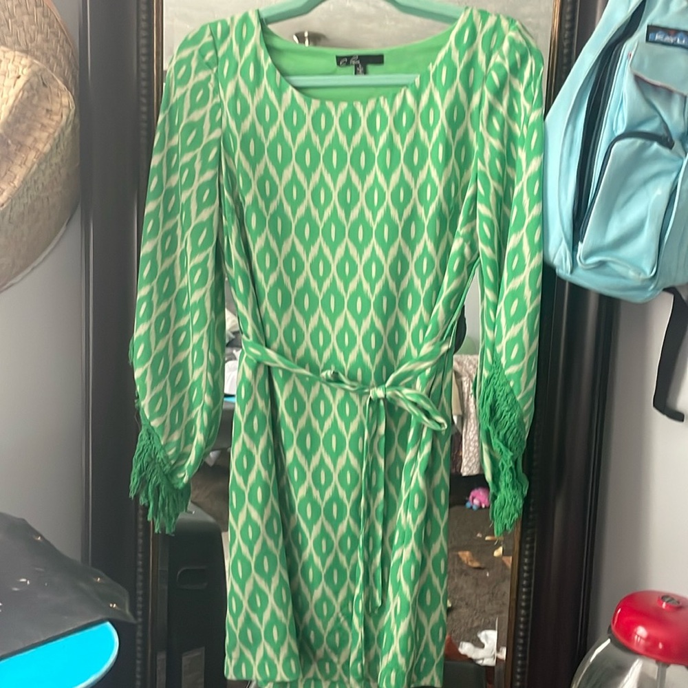 Green and White Dress